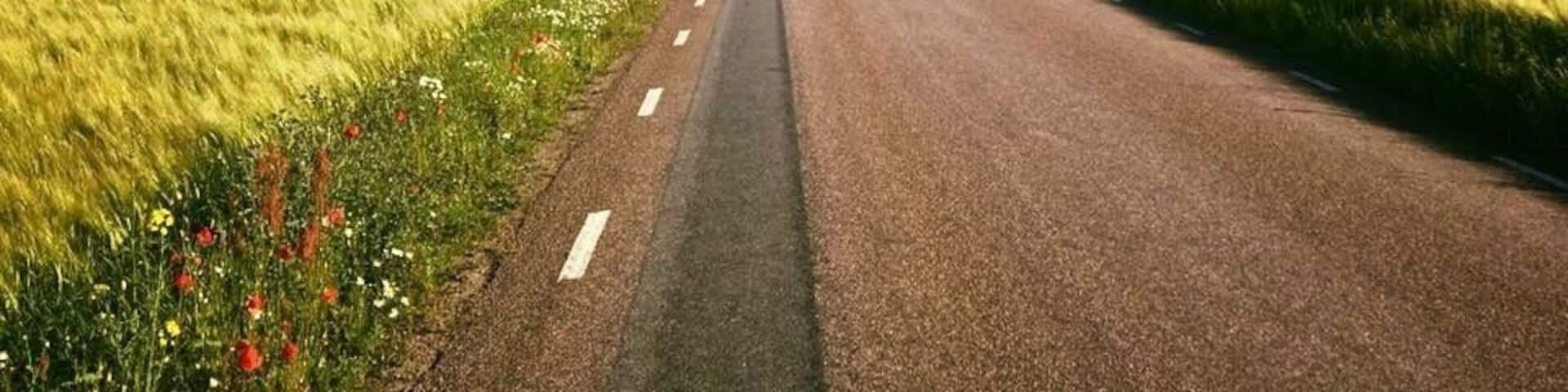 This area used to belong to Denmark, is today Sweden’s southernmost region and is characterised by endless open fields and wide flat horizons