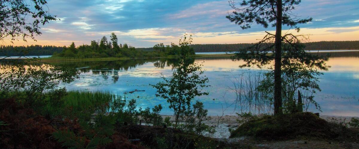 A calm lake surrounded by trees and vegetation.