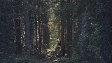The forest around the Mountain in tavelsjö have a great atmosphere around them. Almost like The tales in the storybooks