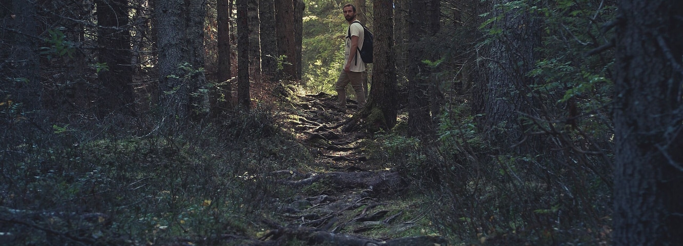 The forest around the Mountain in tavelsjö have a great atmosphere around them. Almost like The tales in the storybooks