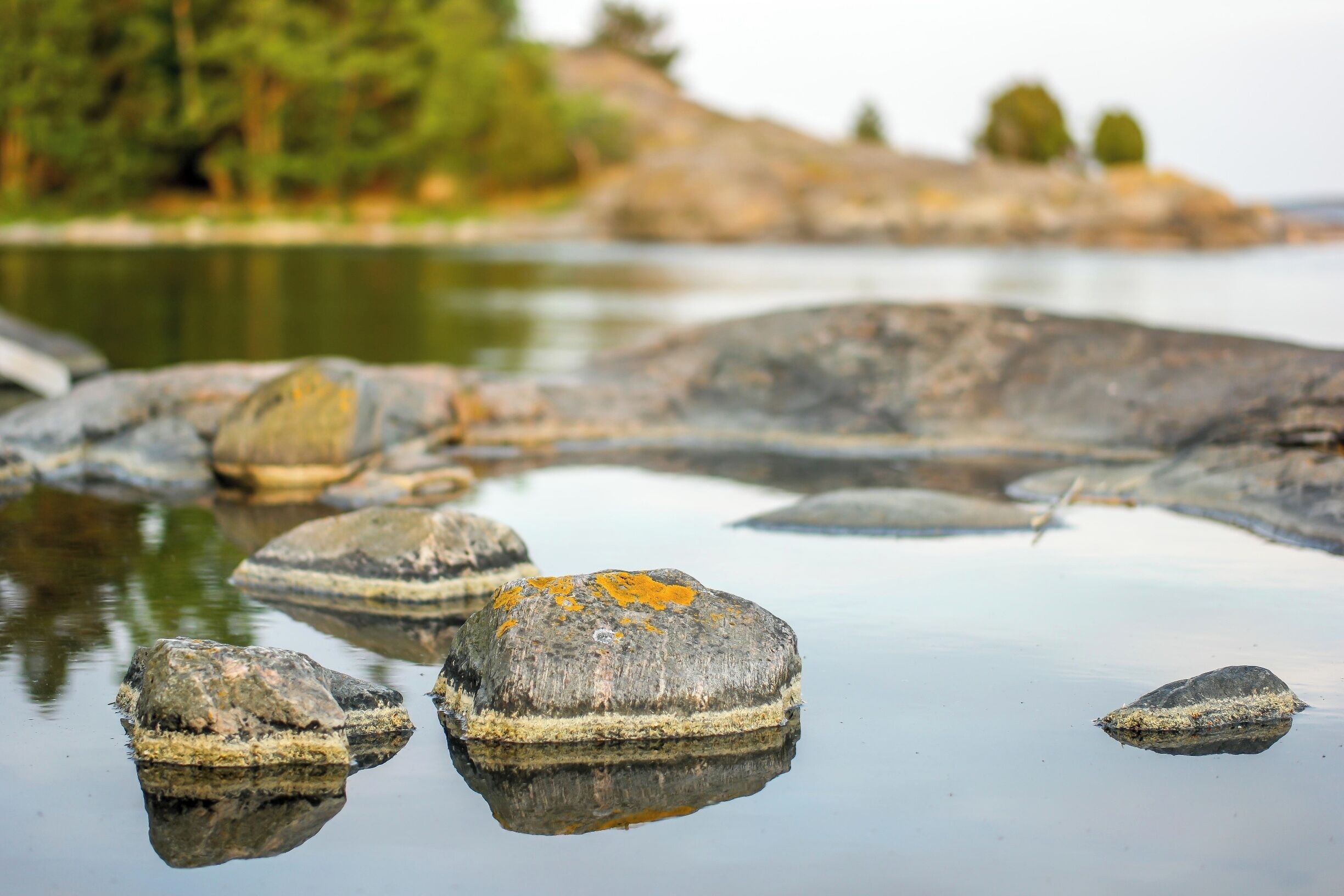 Tranquility in the nature is a bliss.
