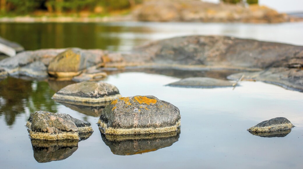 Tranquility in the nature is a bliss.