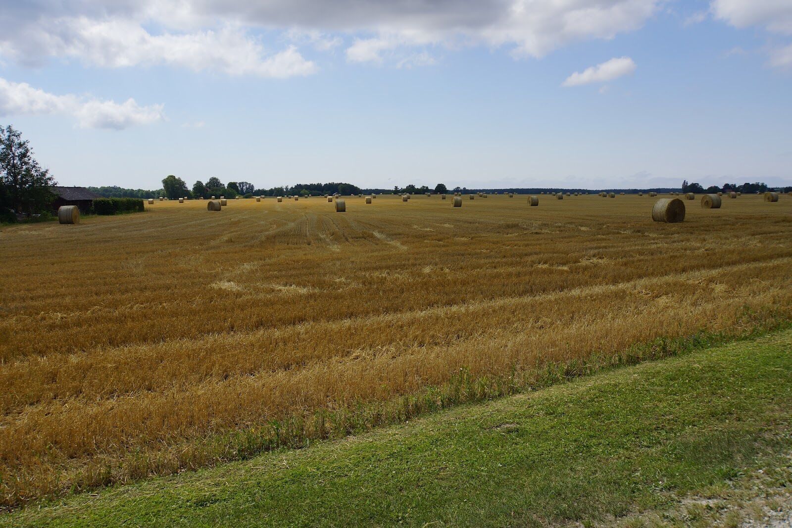 Gotland is Sweden's largest island and is a popular holiday spot for both Swedes and foreigners. Unusual nature, characterised by sea stacks (vertical rock formations shaped by the sea), as well as its long beaches and the medieval town of Visby,