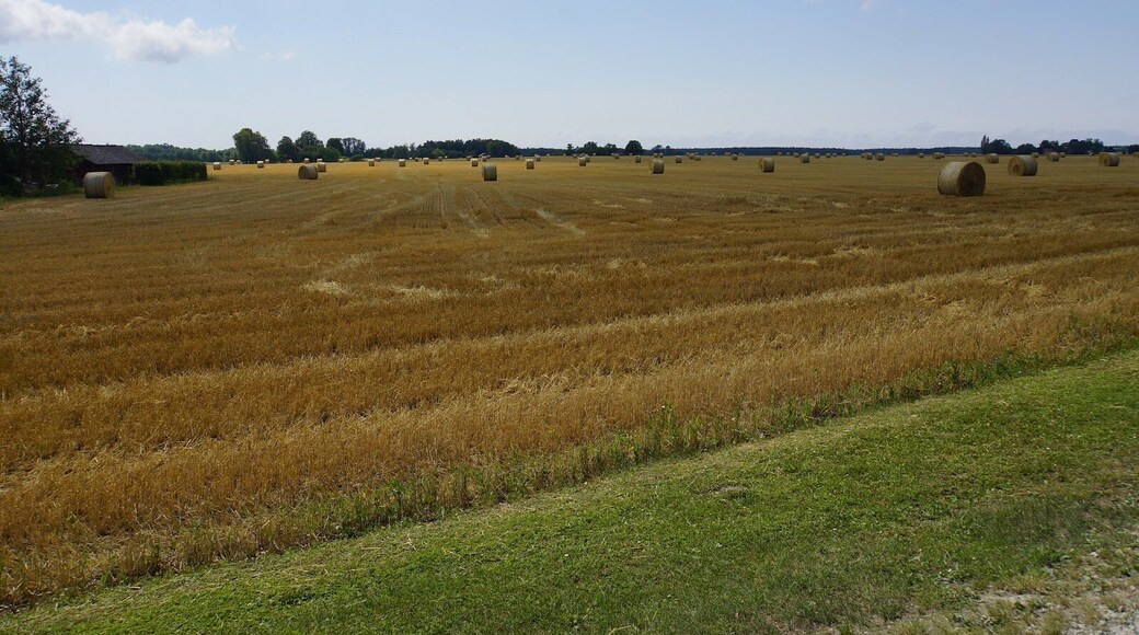 Gotland is Sweden's largest island and is a popular holiday spot for both Swedes and foreigners. Unusual nature, characterised by sea stacks (vertical rock formations shaped by the sea), as well as its long beaches and the medieval town of Visby,