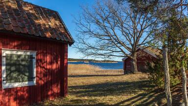 Old log houses by the sea