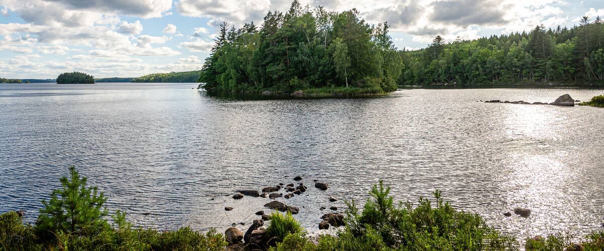 A lake with a small island of trees surrounded by calm water.