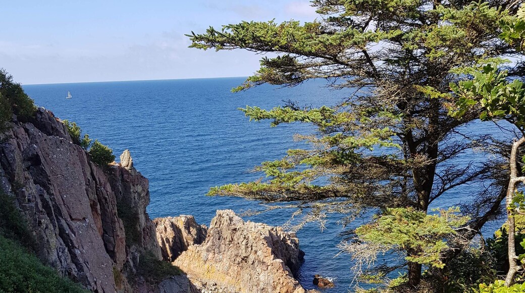 This is in Sweden, a place called Kullaberg right outside of Helsingborg. Here you can hike and climb on the cliffs by the ocean. It's very exciting, beautiful but dangerous. Once down, you can have a swim.. where's safe. It doesn't cost anything!