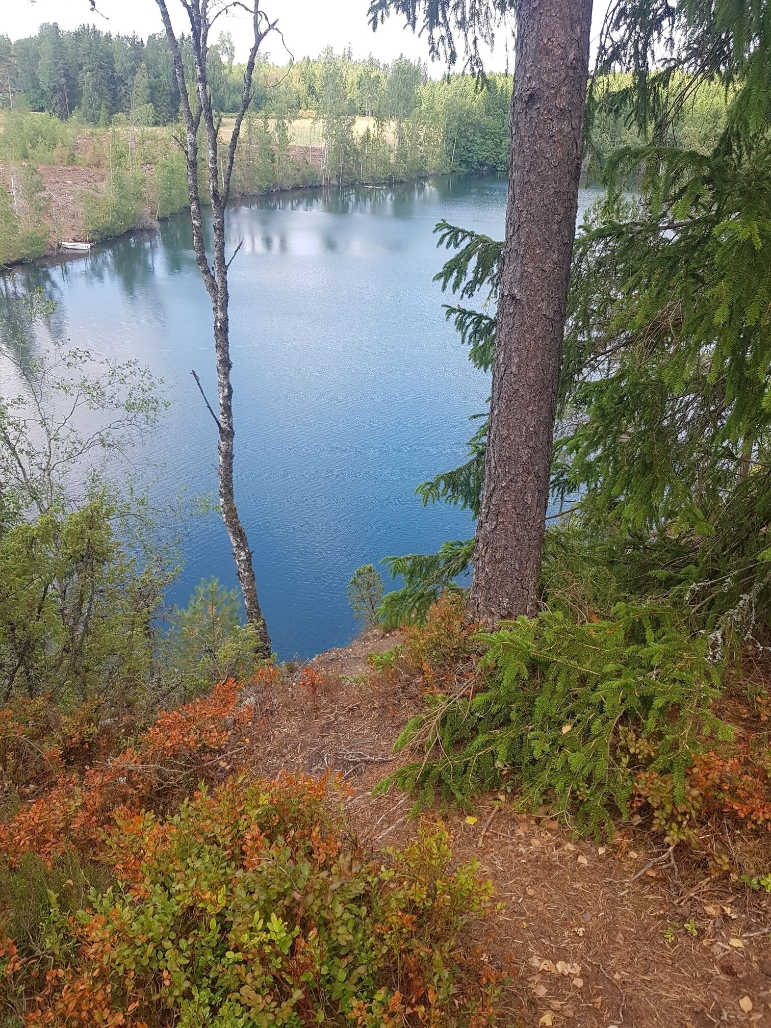 A calm lake surrounded by dense forest and a dirt path.