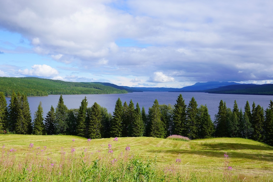 Blick auf den See bei Gäddede in Schweden