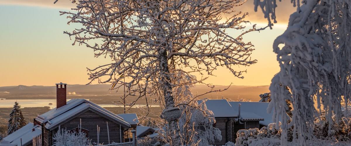 A snow-covered landscape with a wooden cabin, a large tree, and a distant view of mountains.