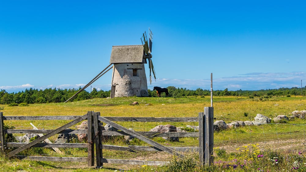 Eine Windmühle, ein Holzzaun und ein Pferd auf einer Wiese.