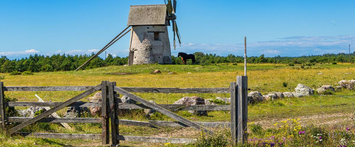 A windmill, a wooden fence, and a horse in a grassy field.