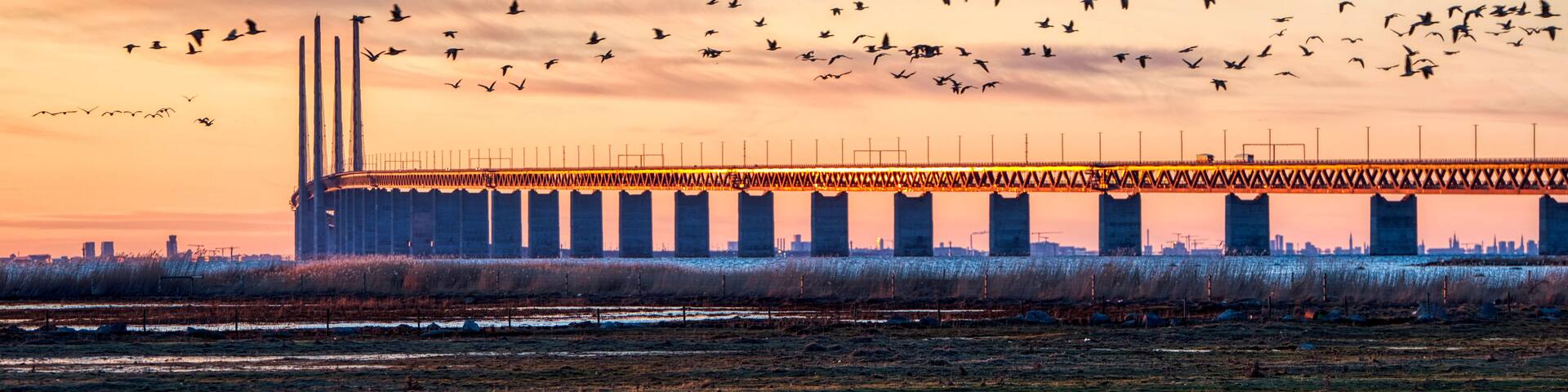 A bridge with multiple pillars, a flock of birds flying overhead, and a sunset in the background.