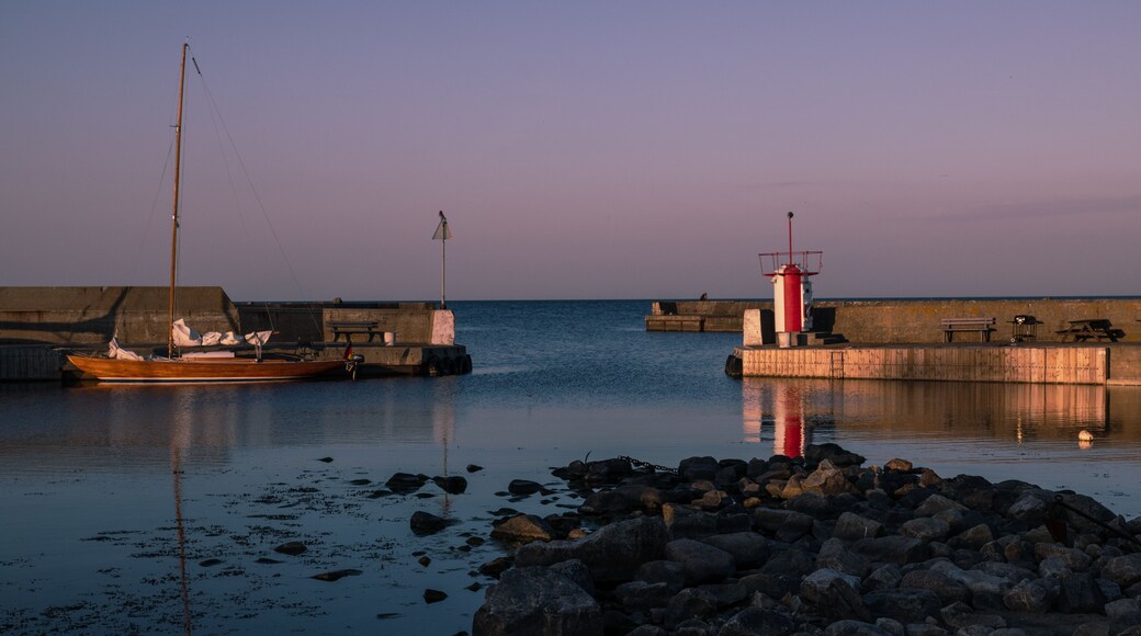 ๋ธ๋ํ
๋นํฌ