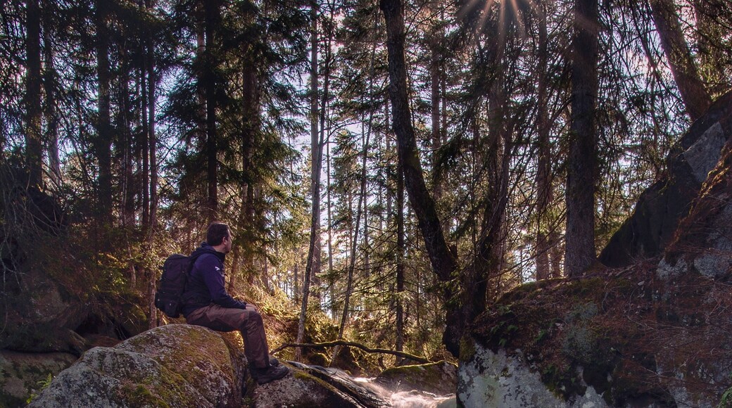 A beautiful place for hiking, picknicks or relaxing. Not many turist and lots of hiking possibilities. You will find Rävafallet 50 km north of Jönköping, close to Hökensås nature reserve. There is a area for camp fire at the bottom of the waterfall.