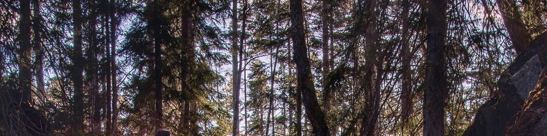 A beautiful place for hiking, picknicks or relaxing. Not many turist and lots of hiking possibilities. You will find Rävafallet 50 km north of Jönköping, close to Hökensås nature reserve. There is a area for camp fire at the bottom of the waterfall.