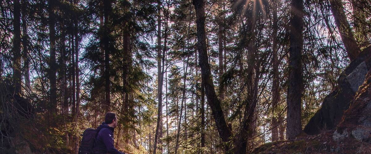 A waterfall in a forest with a person sitting on a rock.
