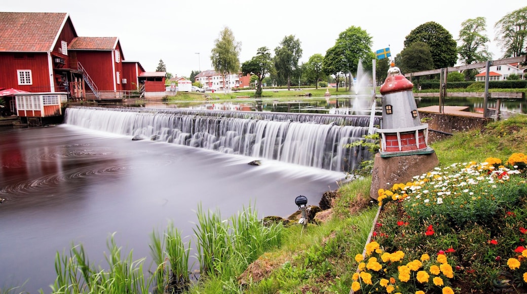 Very nice place to see, the garden is really amazing. One of my favorite place in Sweden :D