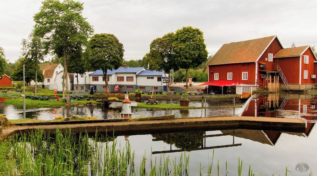 Very nice place to see, the garden is really amazing. One of my favorite place in Sweden