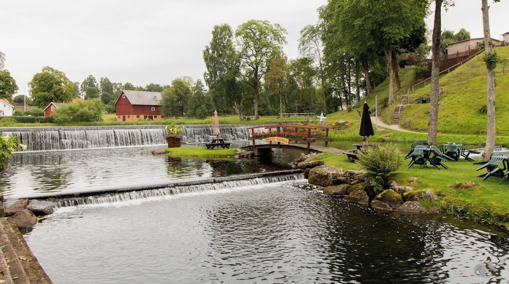 Very nice place to see, the garden is really amazing. One of my favorite place in Sweden :D