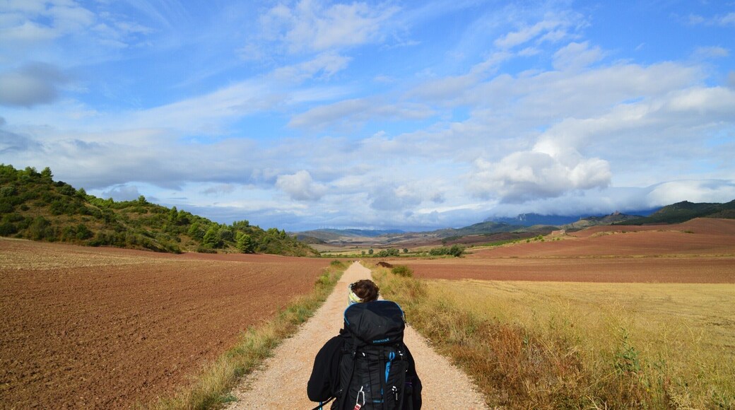Onward! Across the plains in #Spain as we trek along the #Camino
#Travel #Wanderlust