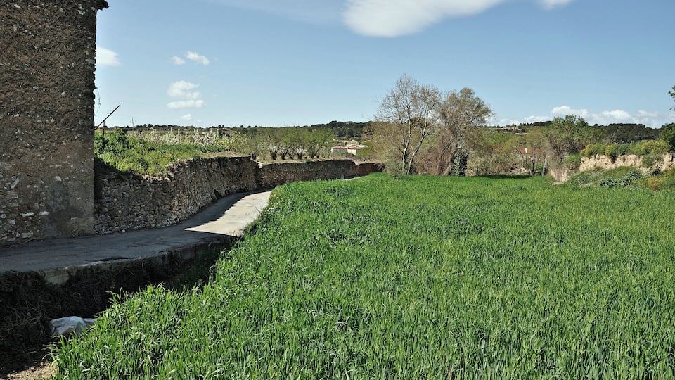 A rural landscape with a stone wall, a field of crops, and a distant building.