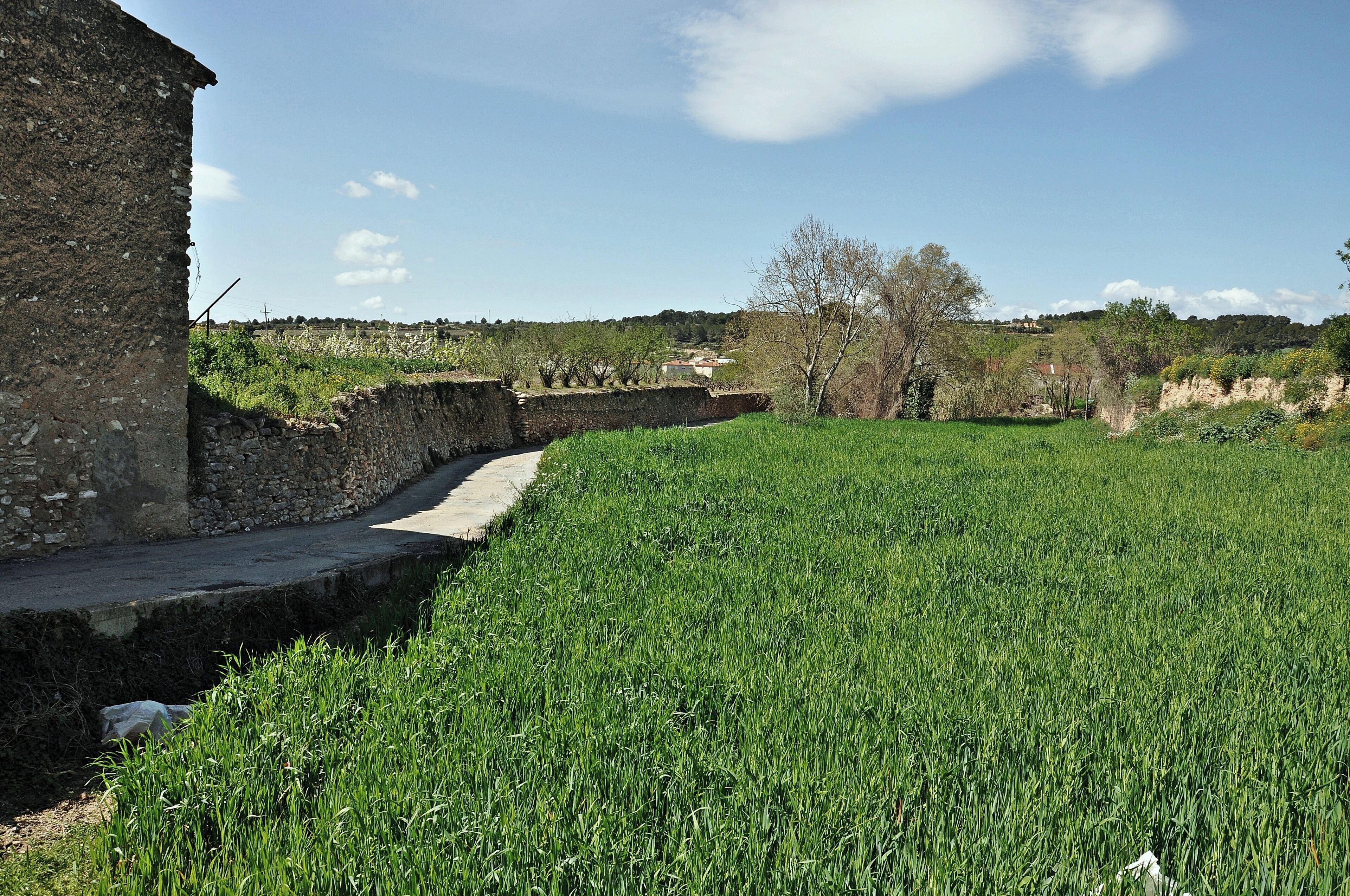 A rural landscape with a stone wall, a field of crops, and a distant building.
