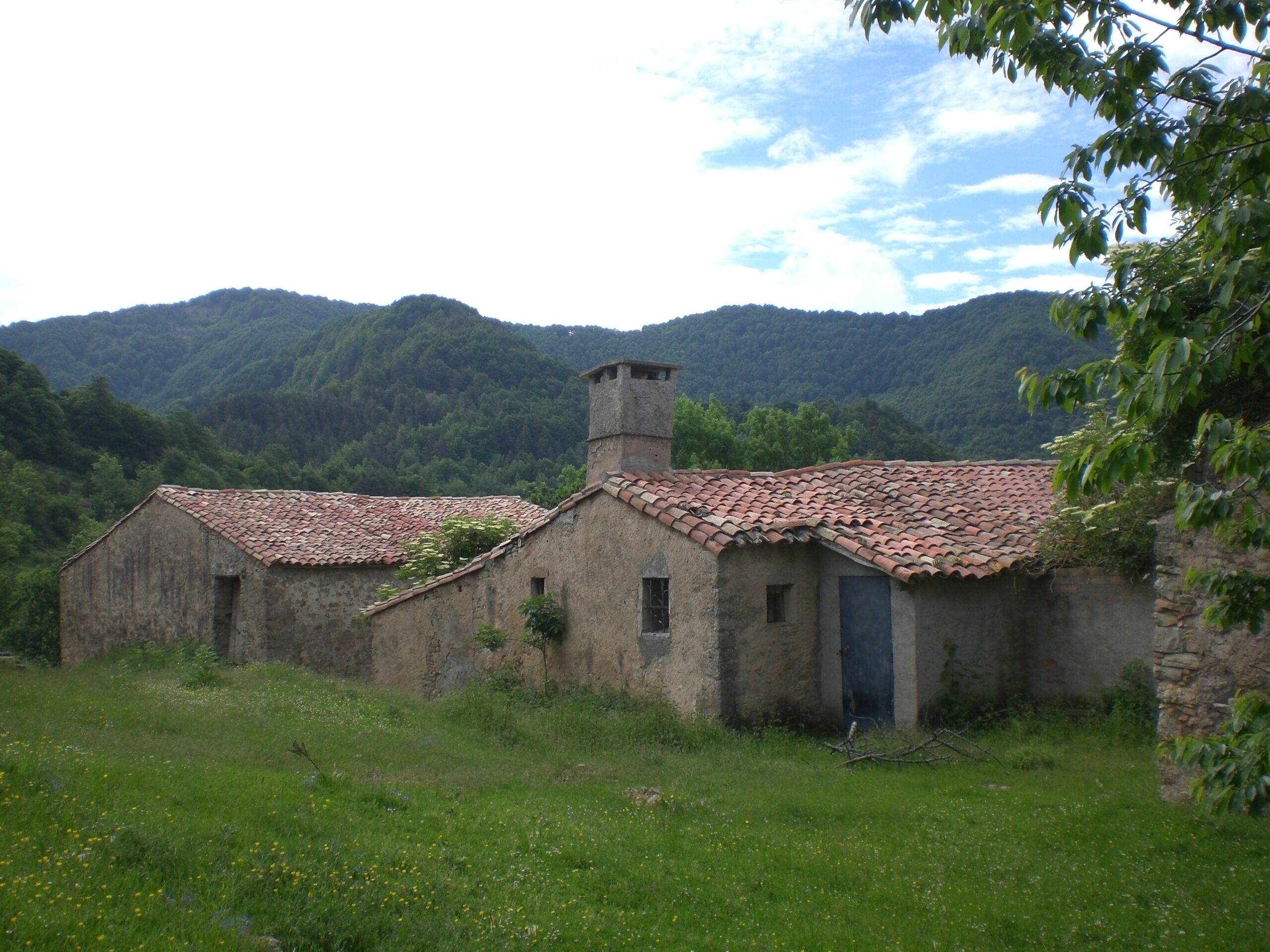 Puigvassall (juny 2012)