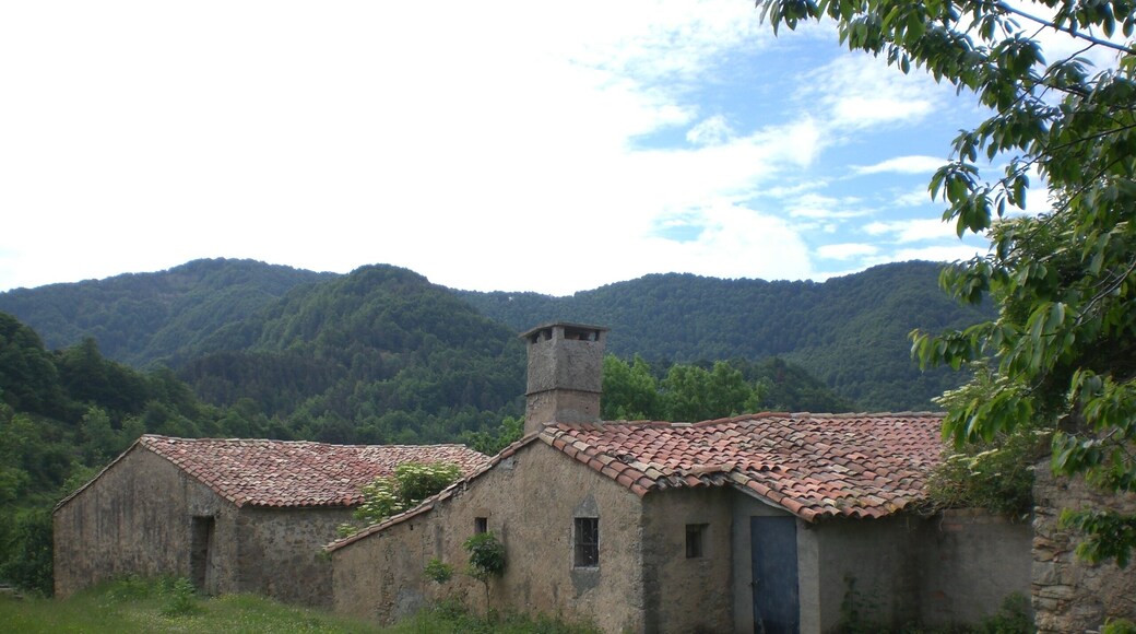 Puigvassall (juny 2012)