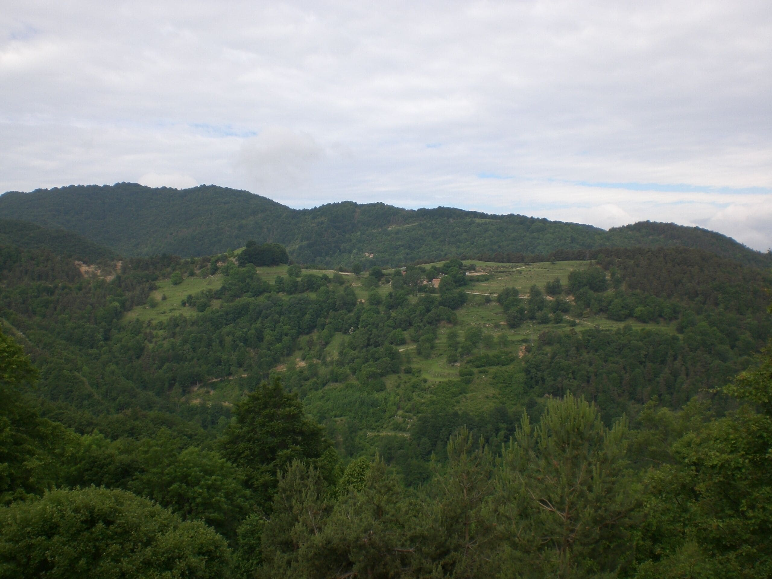 Llastanosa des de Puigvassall (juny 2012)
