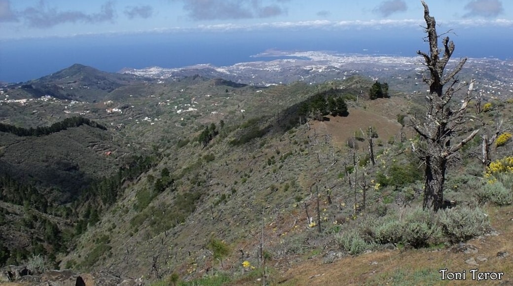 Vista hacia la Isleta