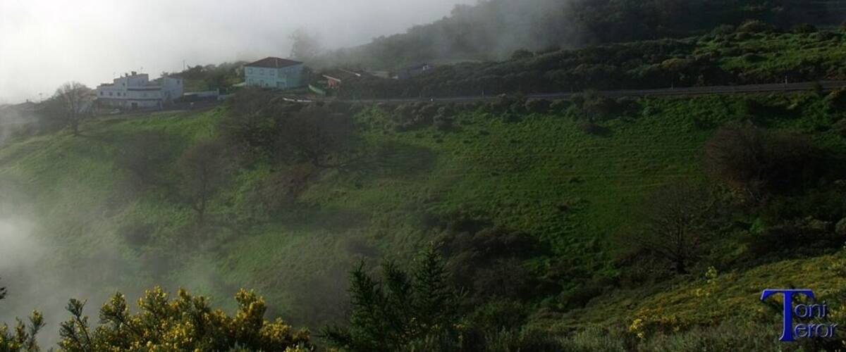 A mountainous landscape with a house on a hill, surrounded by greenery and fog.