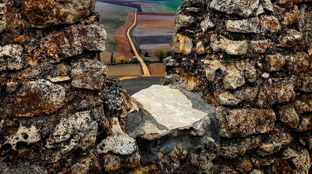 Caminos !!!
#Tovember #swingpiano #photographer #nature #naturephotography #forest #bluehour
