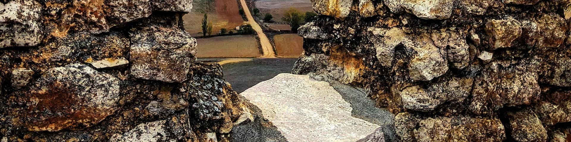 Caminos !!!
#Tovember #swingpiano #photographer #nature #naturephotography #forest #bluehour