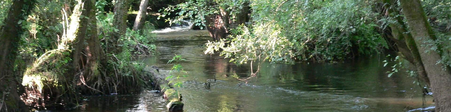 o Tambre garda silencio...