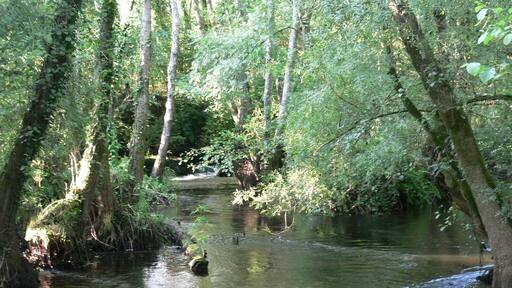 o Tambre garda silencio...