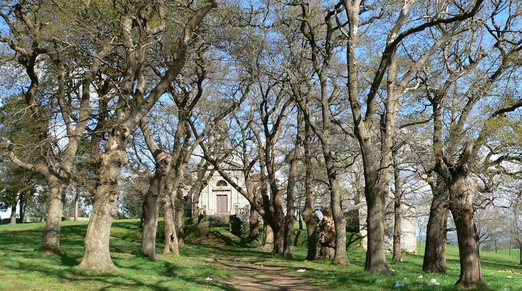 SANTA EUFEMIA DE VILOUCHADA