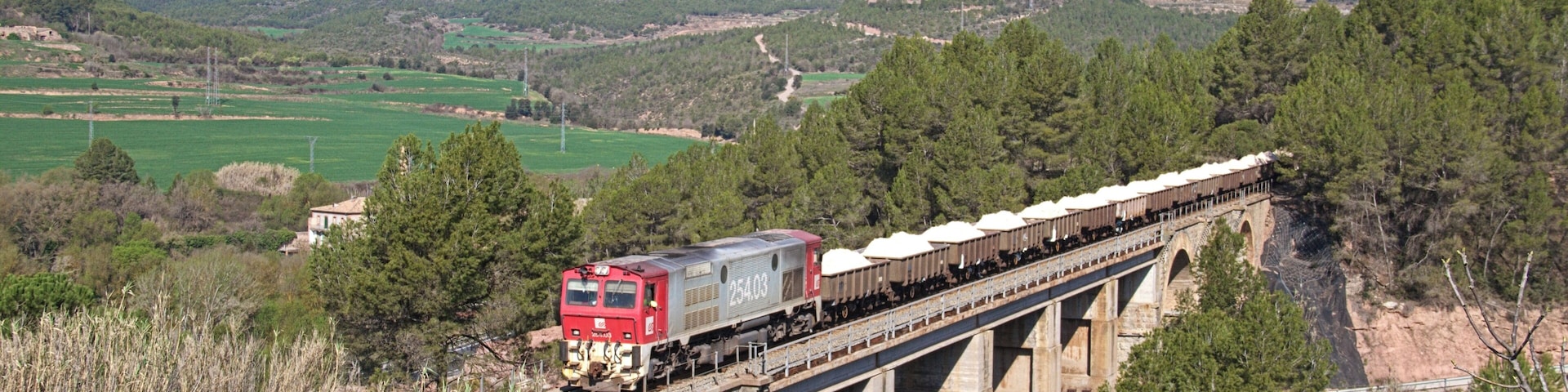 Un altre foto que estava pendent. I es que, després de molt temps <a href="https://www.flickr.com/photos/eldelinux/3199065852/in/set-72157617965014687">d'haver visitat per primera vegada aquest punt</a>, vaig decidir de tornar-hi per fotografiar el saler. I es que lo bo es fa esperar, ja que quan pensava que se'm havia escapat pels pels, va aparèixer. A la foto la 254.03 amb el saler Súria-Iberpotash -> Martorell-Solvay al viaducte del torrent de la Bogadella. Otra foto que estava pendiente. Y es que, después de mucho tiempo <a href="https://www.flickr.com/photos/eldelinux/3199065852/in/set-72157617965014687">de haber visitado por primera vez este punto</a>, dicidí de volver para fotografiar el salero. Y es que lo bueno se hace esperar, ya que cuando pensaba en que se me había escapado por los pelos, apareció. En la foto la 254.03 con el salero Súria-Iberpotash -> Martorell-Solvay en el viaducto del torrente de la Bogadella.