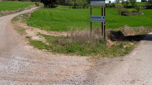 Trencall a Còdol-Rodon (Aguilar de Segarra)