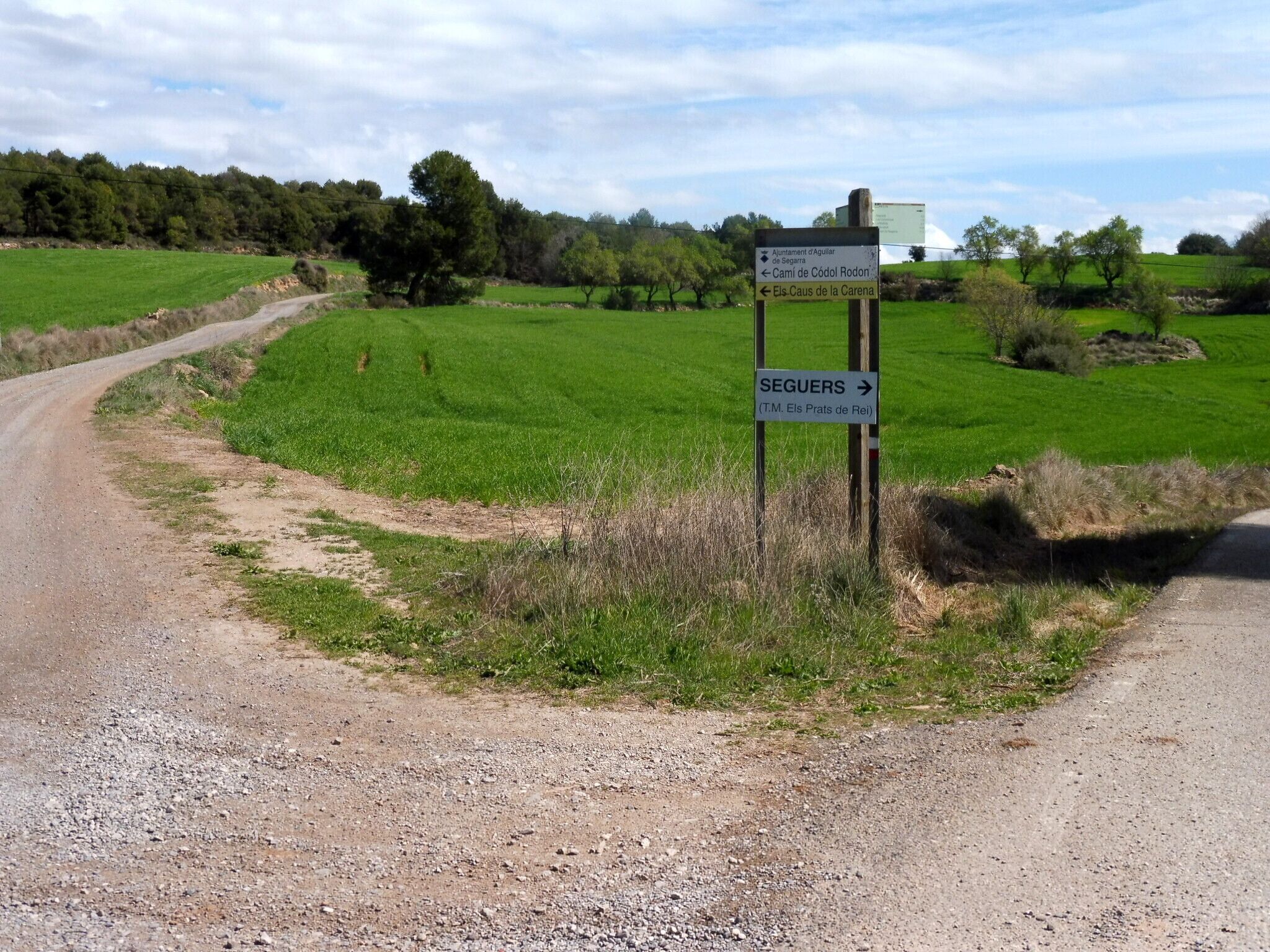 A rural road with a signpost indicating directions to various locations.