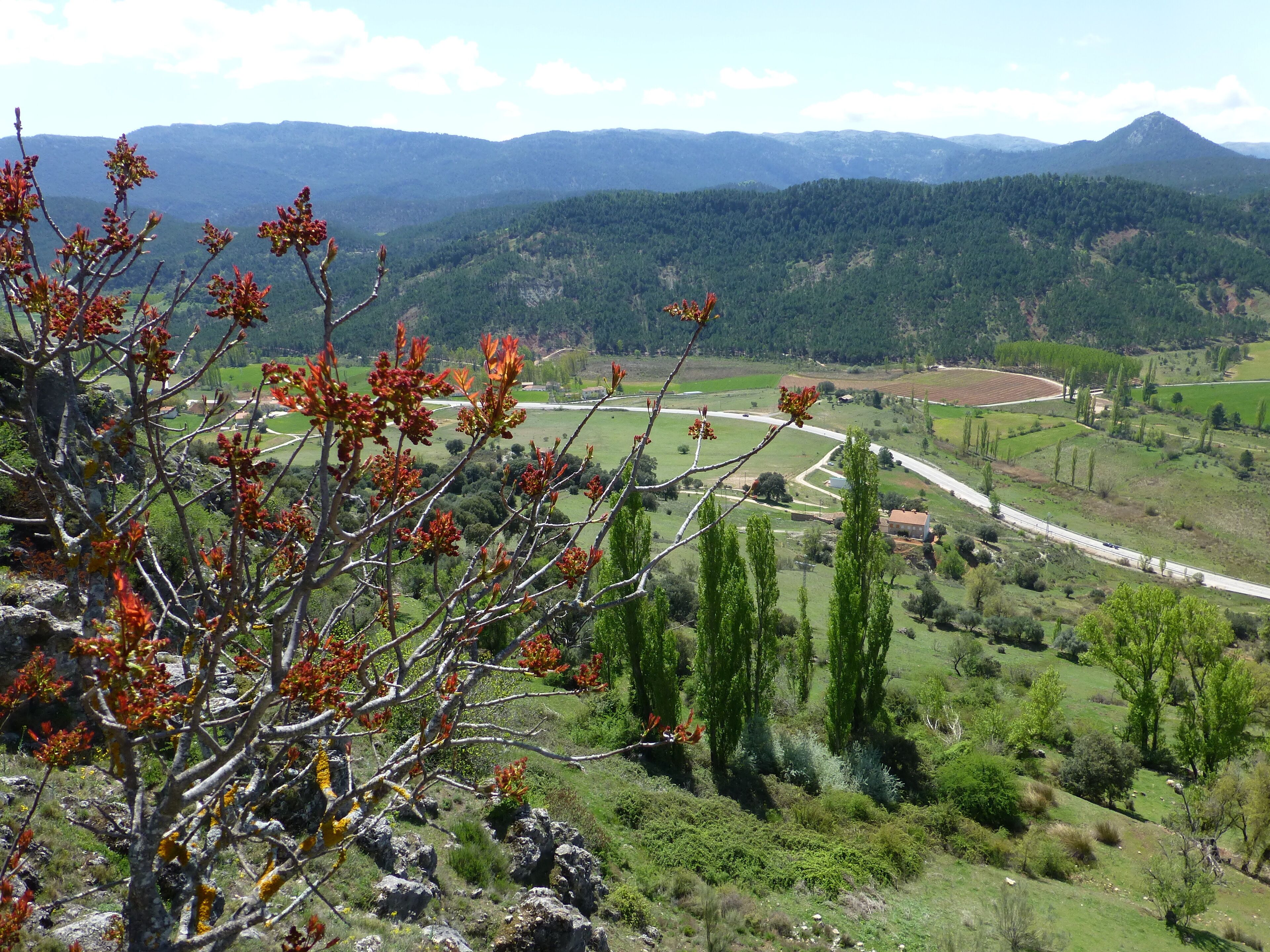This is a photography of a Special Area of Conservation in Spain with the ID: