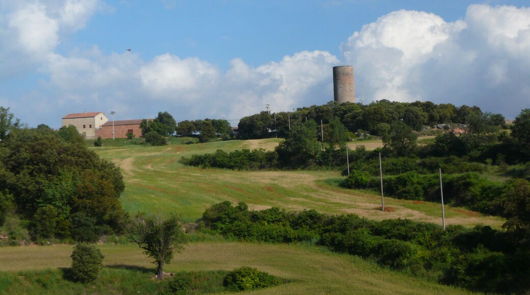 Torre del castell de la Manresana (els Prats de Rei)