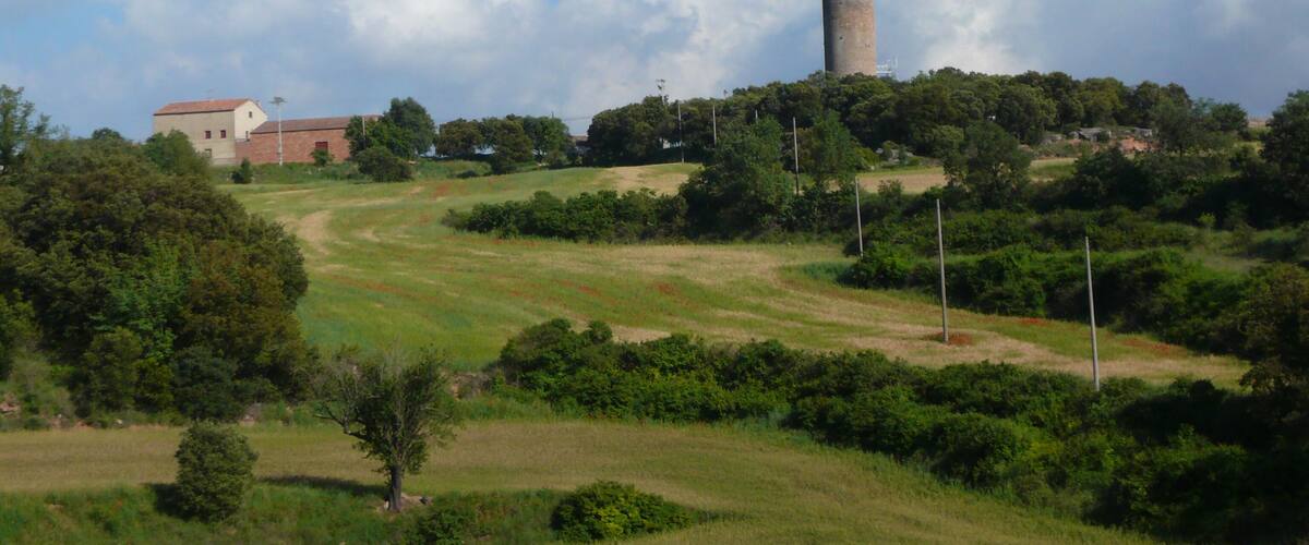 A tower on a hill, a building with a red roof, and a grassy landscape with trees.