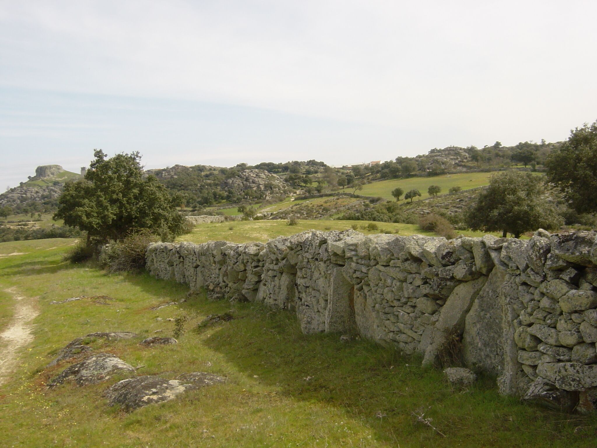 CERCAS DE PIEDRA EN SAYAGO, ESPAÑA