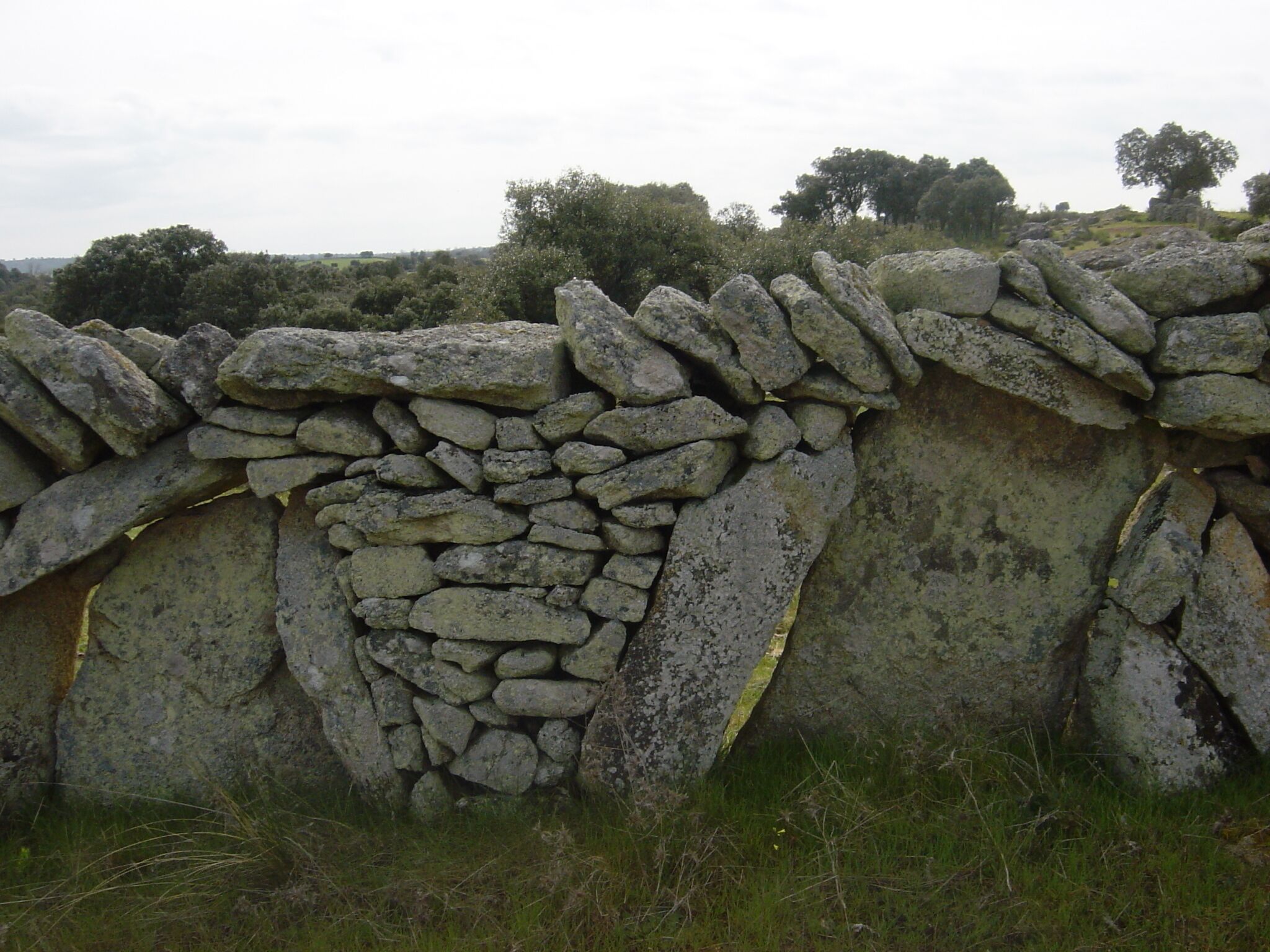 CERCAS DE PIEDRA DE SAYAGO, ESPAÑA