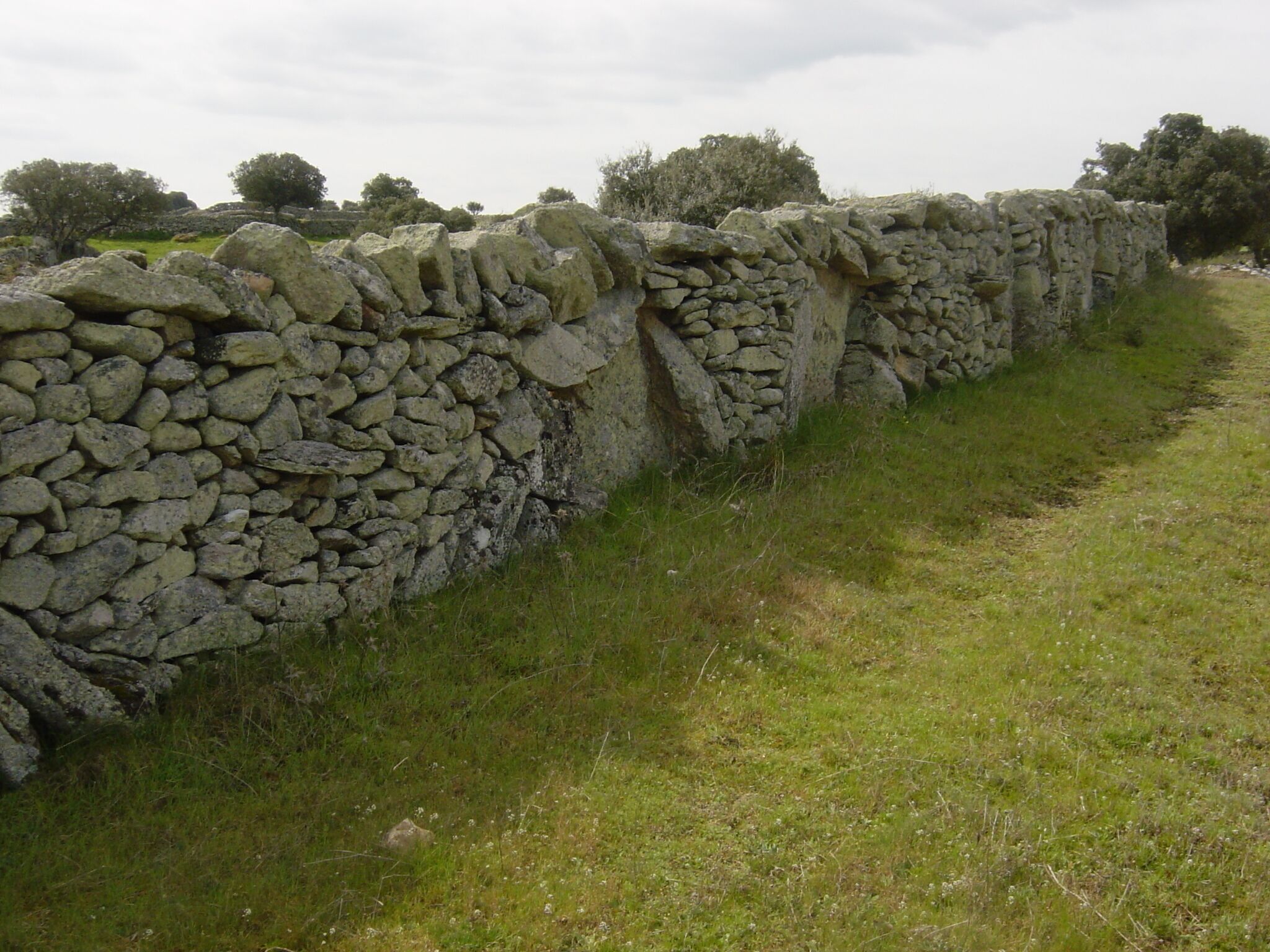 CERCA DE PIEDRA EN SAYAGO, ESPAÑA