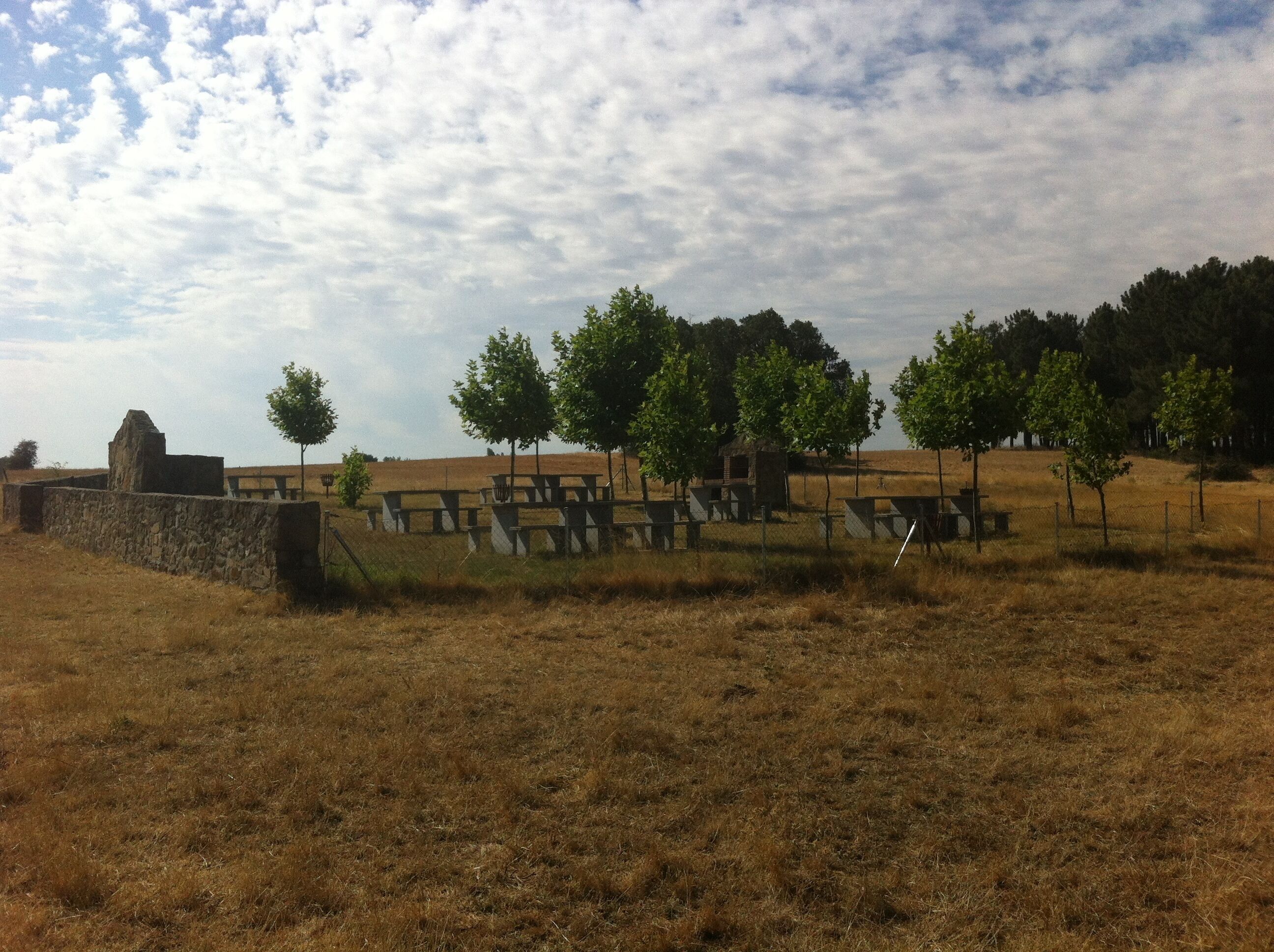 A rural landscape with picnic tables, a stone wall, and trees.