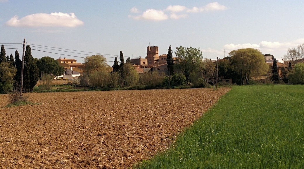 Església de Sant Julià d'Ordis