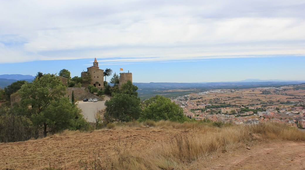 Vista del castell del Castellvell i Solsona des del turó de Castellvell, on hi ha les excavacions.