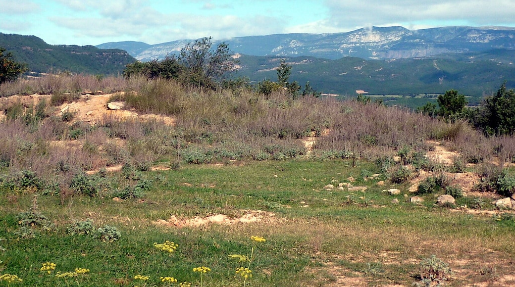 Masia de PuiggalĂ (Olius): els enderrocs senyalen el lloc on s'aixecava la masia